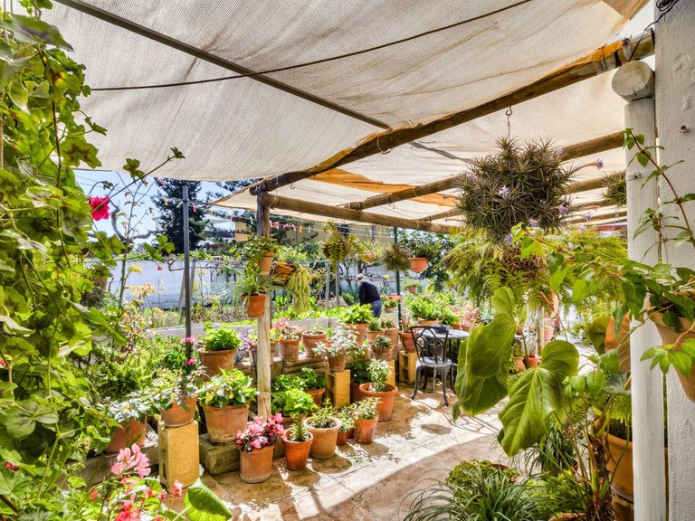 Villa for Sale in Las Chapas, Malaga 24