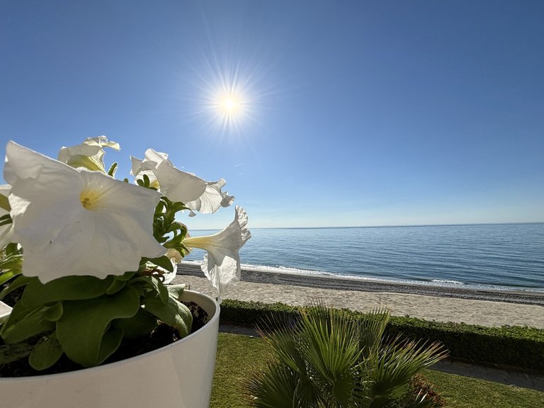 Apartment for Sale in Estepona, Malaga 7