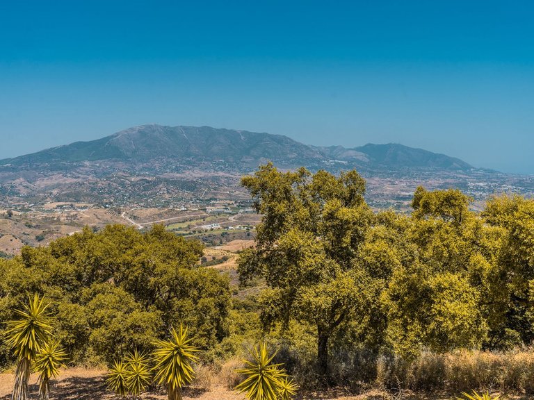 Apartment for Sale in La Mairena, Malaga 7