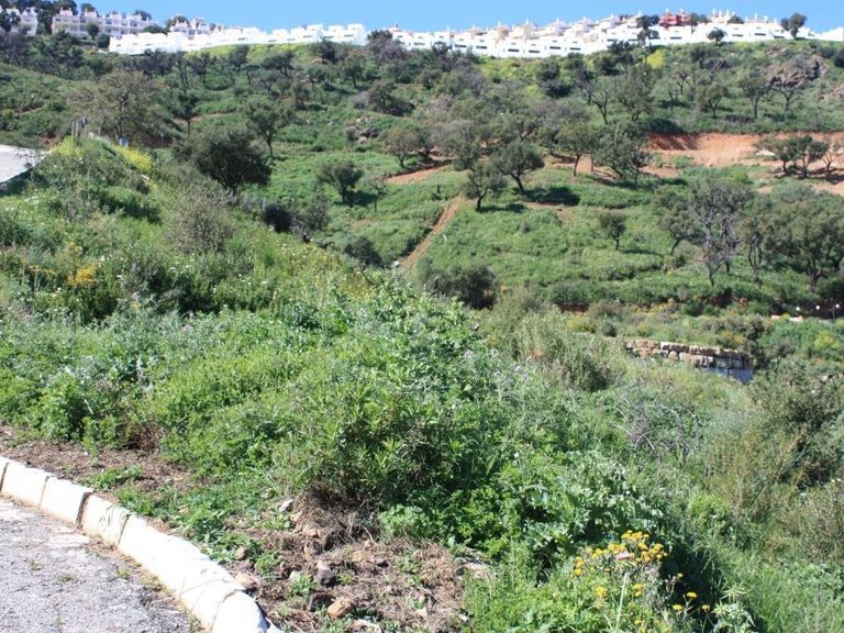 Plot for Sale in La Mairena, Malaga 2