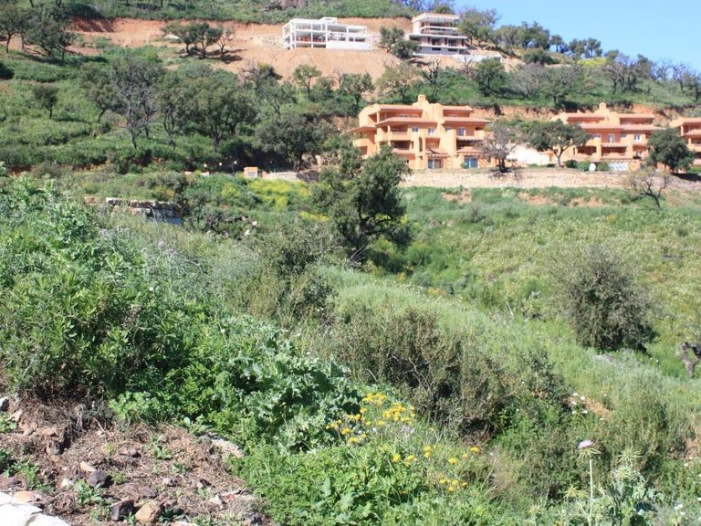 Plot for Sale in La Mairena, Malaga 3