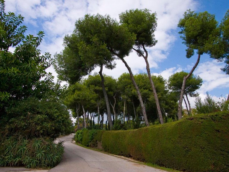 Plot for Sale in La Mairena, Malaga 4