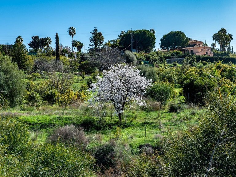 Plot for Sale in New Golden Mile, Malaga 16