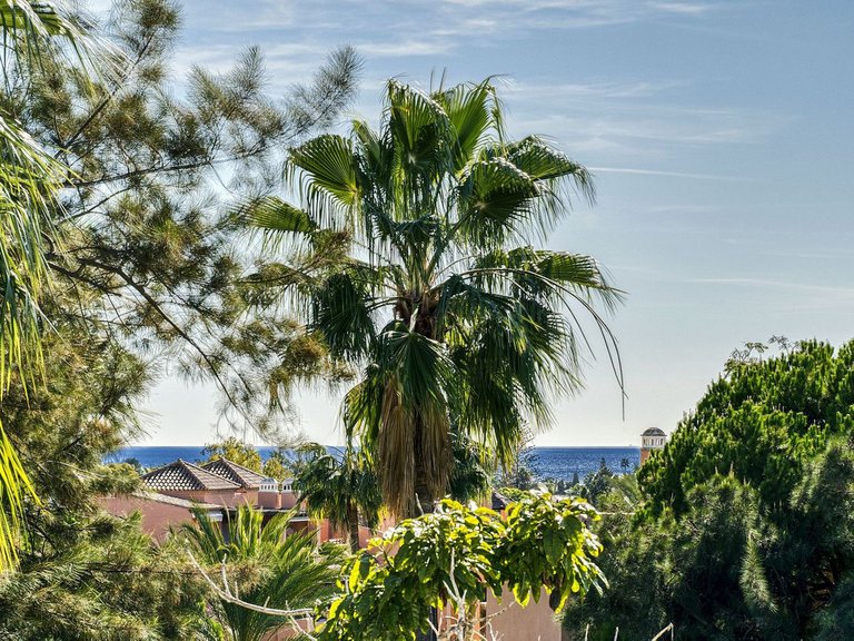 Apartment for Sale in Costa del Sol, Guadalmina Baja, Malaga 44