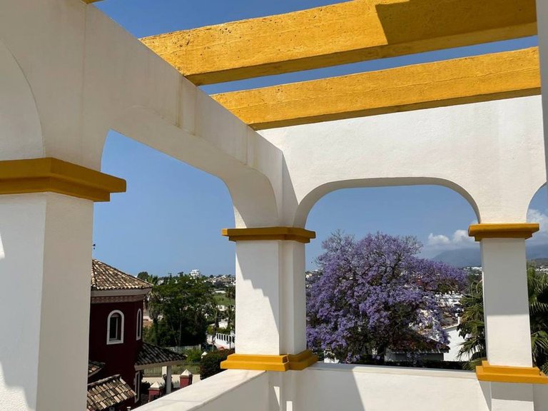 Villa for Sale in San Pedro De Alcántara, Malaga 10