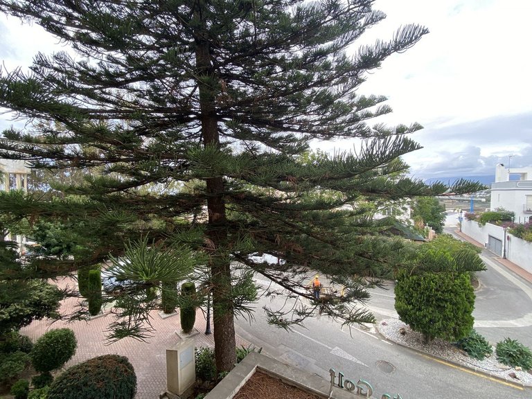 Apartment for Sale in Atalaya, Malaga 17