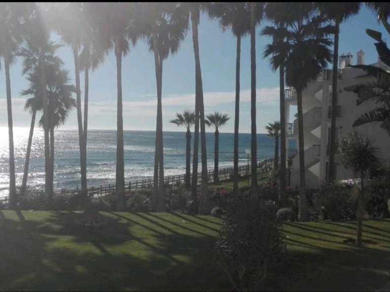 Apartment for Sale in Costa del Sol, Calahonda, Malaga 12