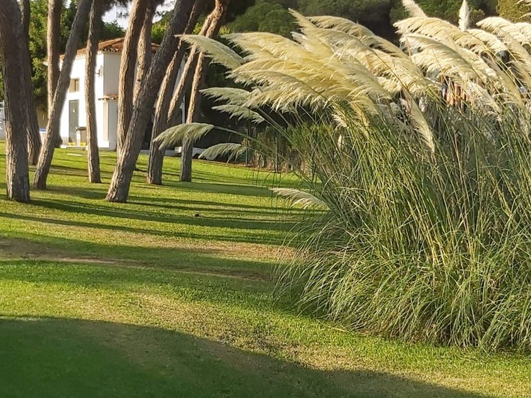 Apartment for Sale in Costa del Sol, Calahonda, Malaga 9