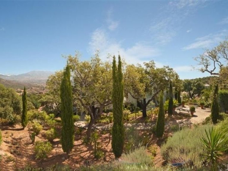 Apartment for Sale in La Mairena, Malaga 13