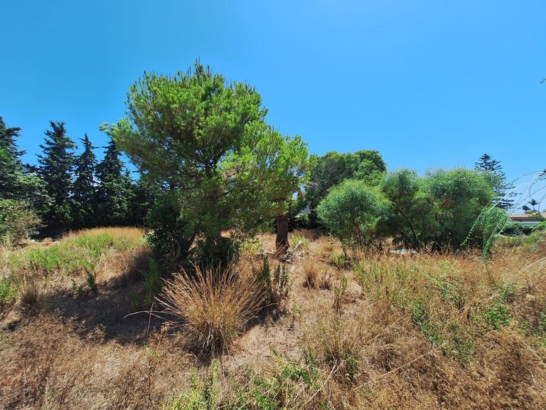 Plot for Sale in Atalaya, Malaga 11