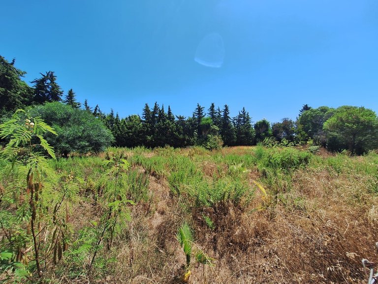 Plot for Sale in Atalaya, Malaga 13