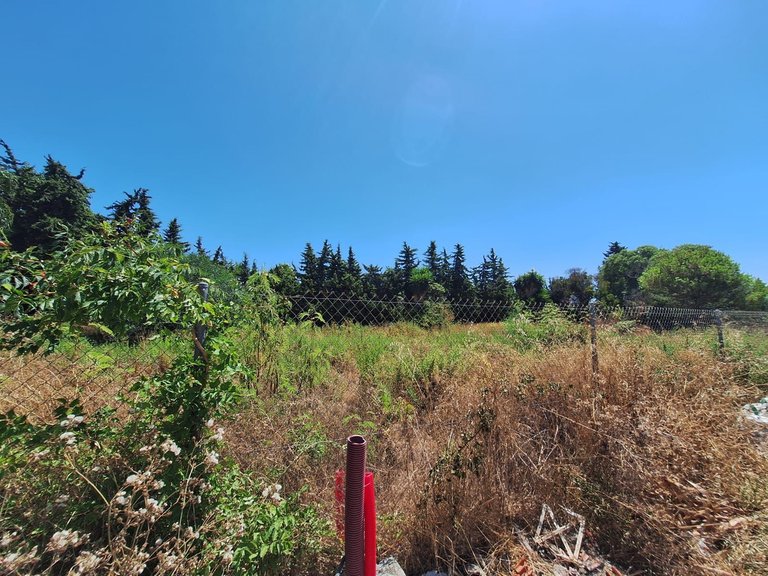 Plot for Sale in Atalaya, Malaga 14