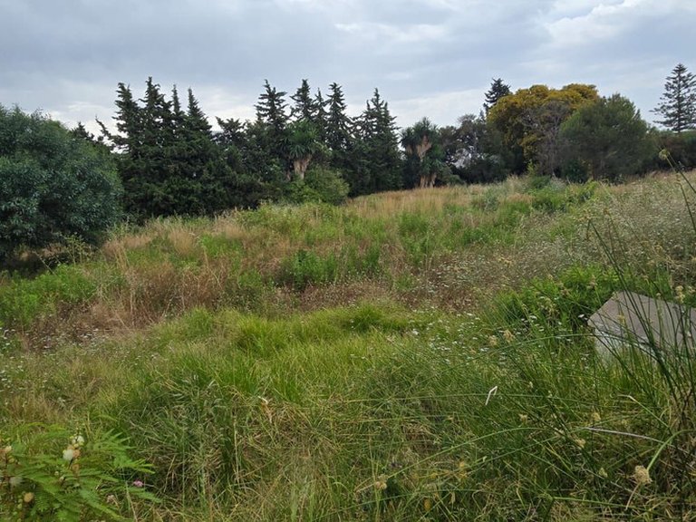 Plot for Sale in Atalaya, Malaga 16