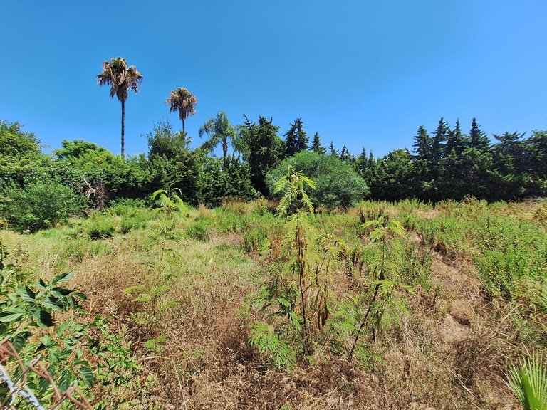Plot for Sale in Atalaya, Malaga 4