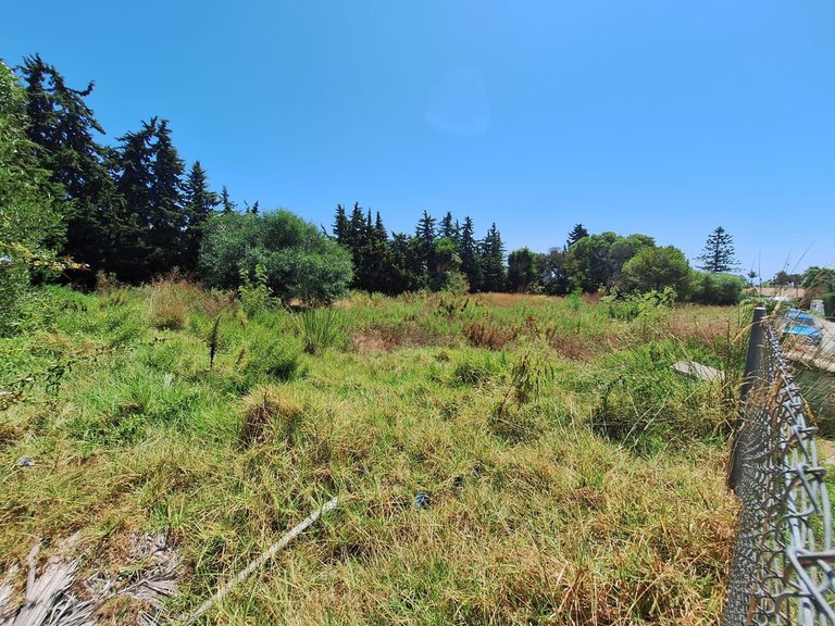 Plot for Sale in Atalaya, Malaga 5