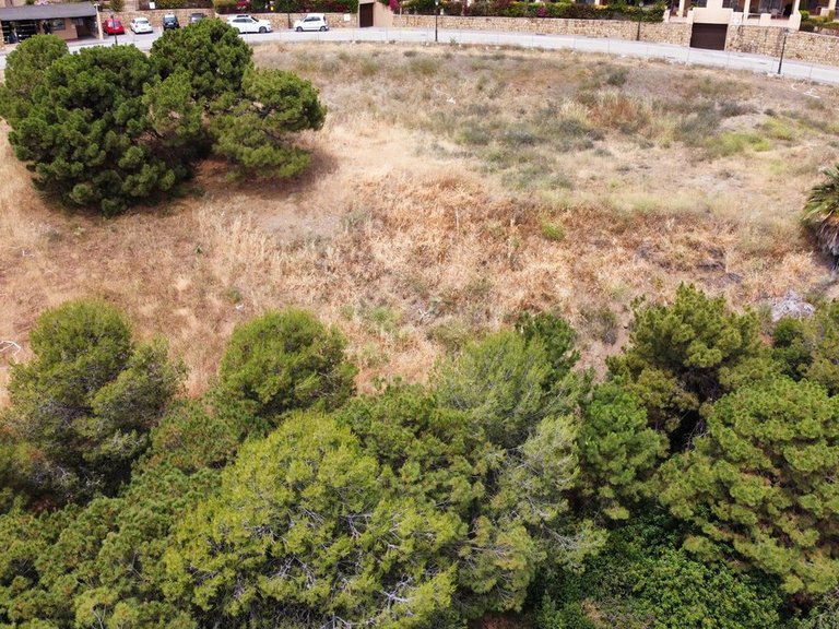 Plot for Sale in Selwo, Malaga 15