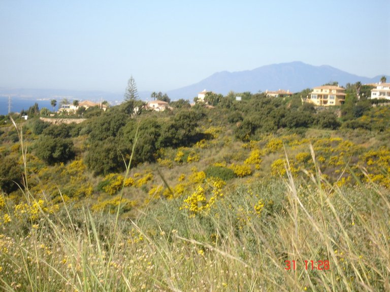 Plot for Sale in Marbella, Malaga 3