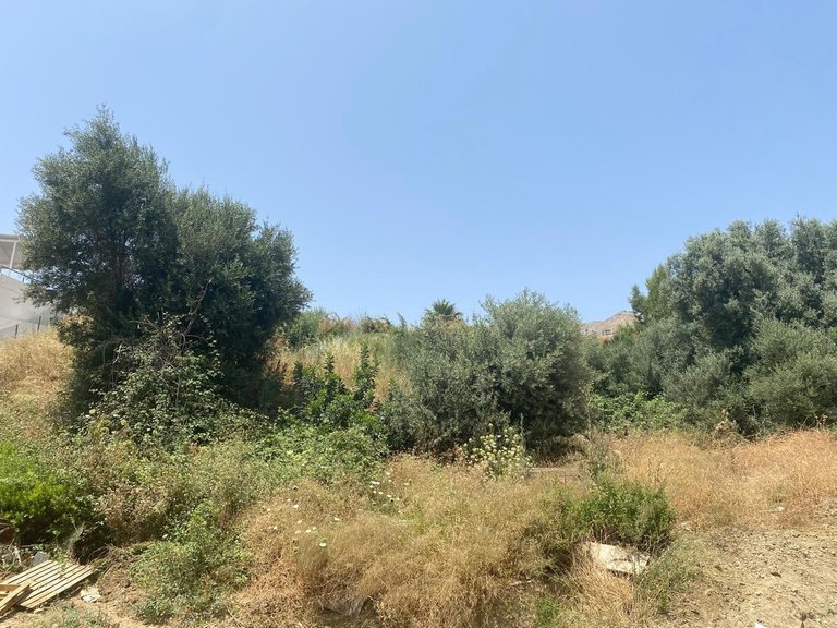 Plot for Sale in Mijas, Malaga 10