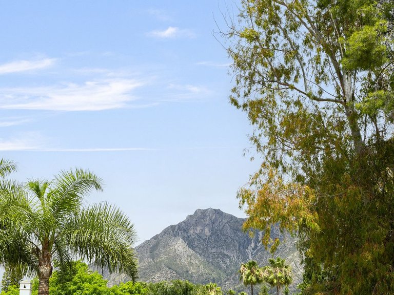 Villa for Sale in The Golden Mile, Malaga 20