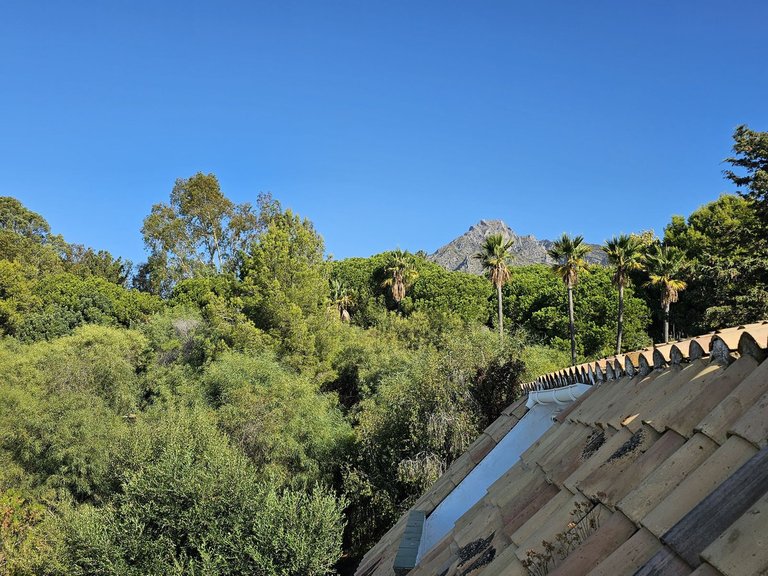 Town House for Sale in Nagüeles, Malaga 29