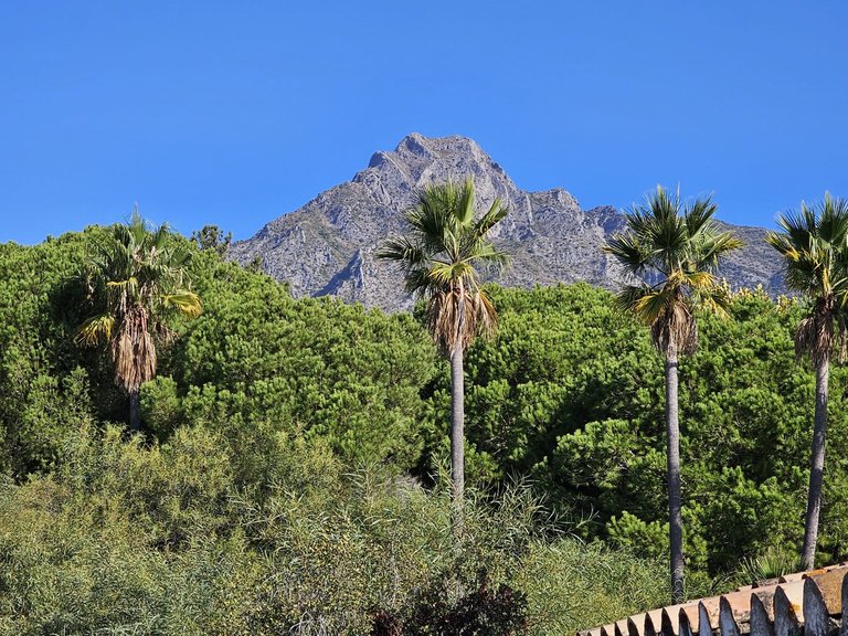 Town House for Sale in Nagüeles, Malaga 30