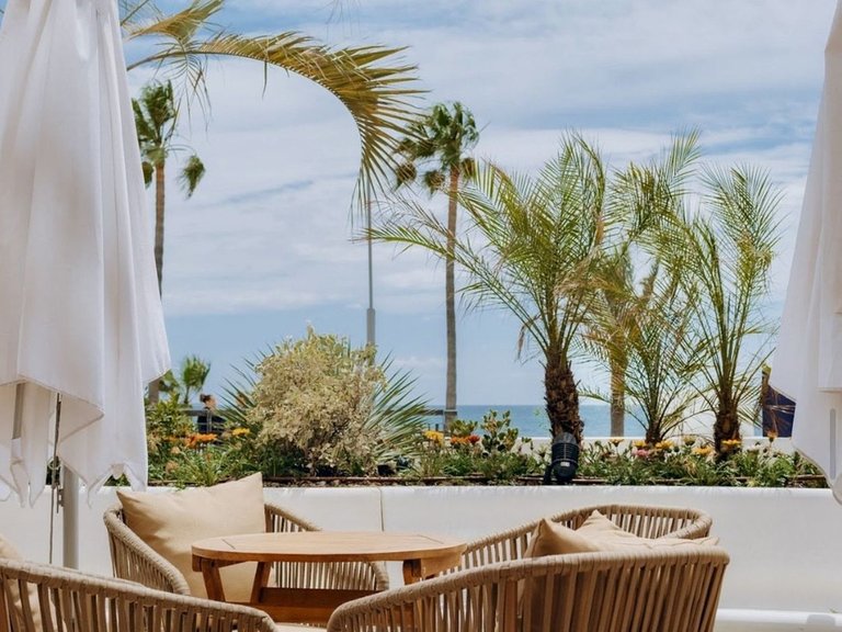 Commercial for Sale in Costa del Sol, Estepona, Malaga 1