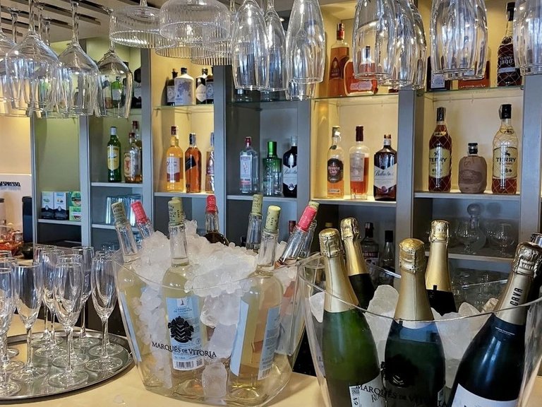 Commercial for Sale in Costa del Sol, Estepona, Malaga 5