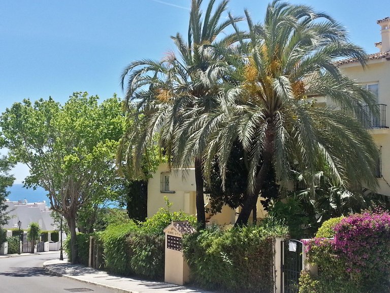 Apartment for Sale in Reserva De Marbella, Malaga 5
