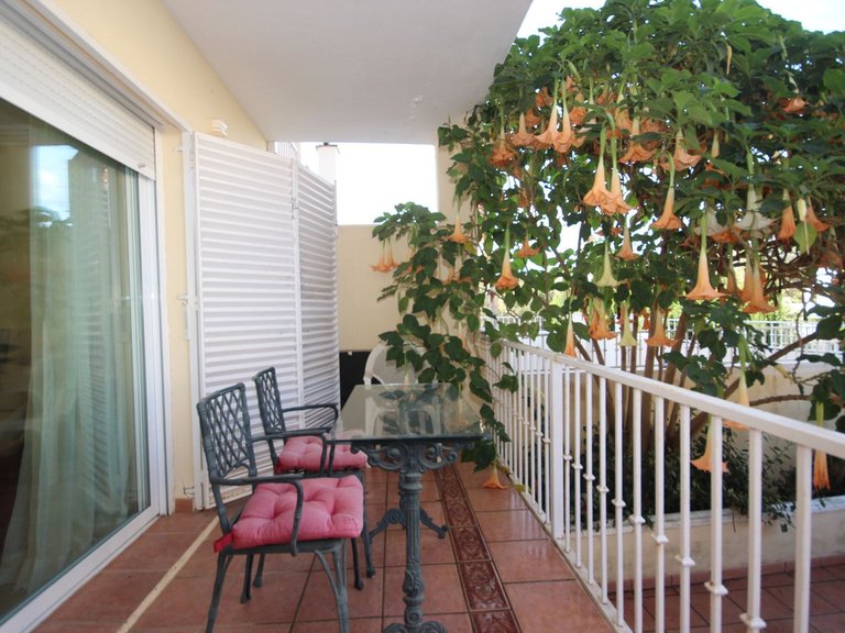 Town House for Sale in El Rosario, Malaga 4