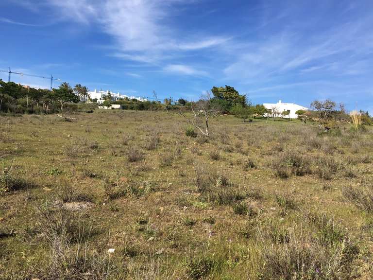 Plot for Sale in Cancelada, Malaga 1