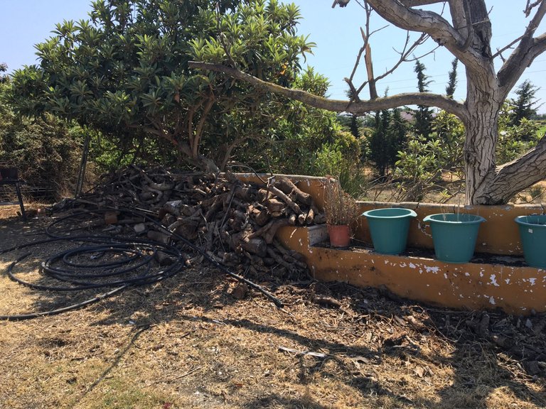 Plot for Sale in Cancelada, Malaga 3