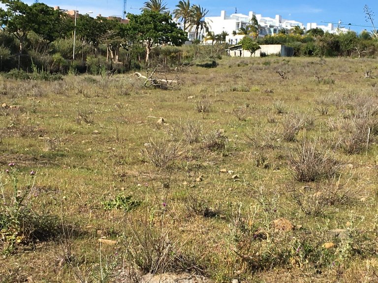Plot for Sale in Cancelada, Malaga 4