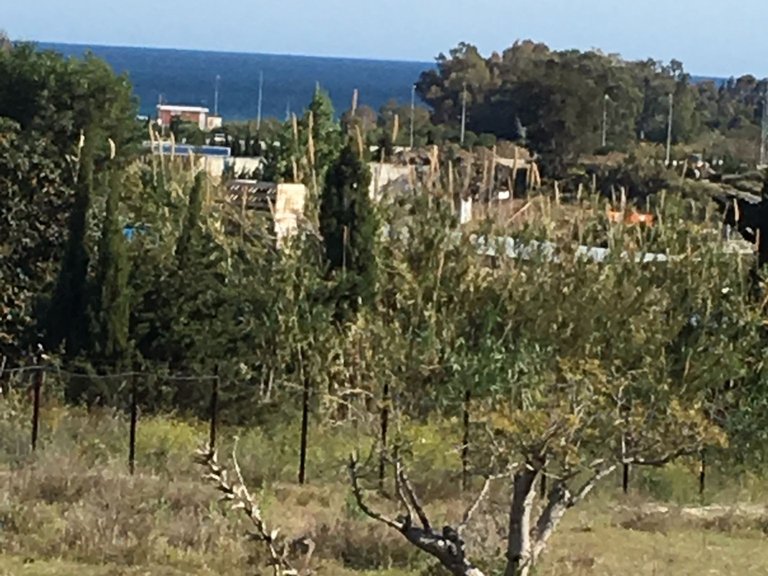 Plot for Sale in Cancelada, Malaga 8