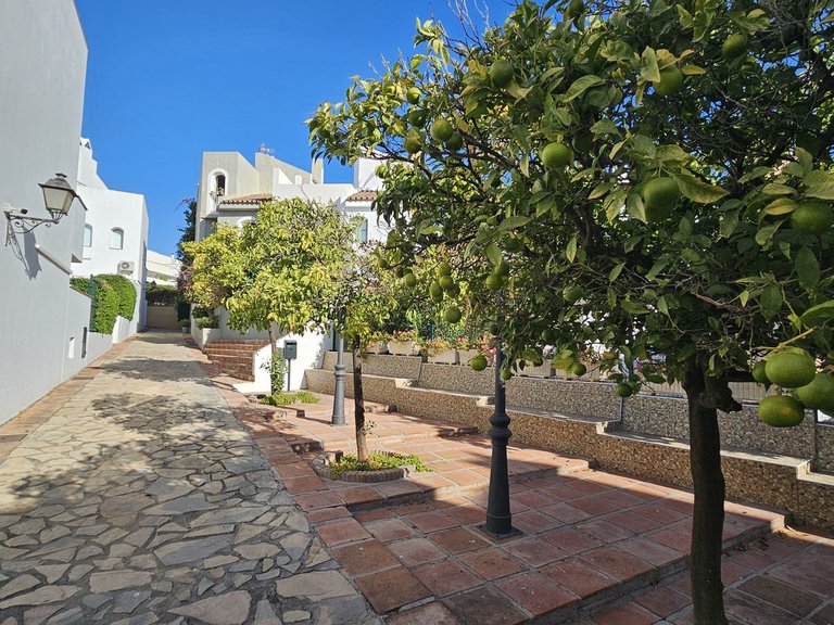 Town House for Sale in Nueva Andalucía, Malaga 2