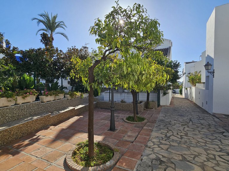 Town House for Sale in Nueva Andalucía, Malaga 20