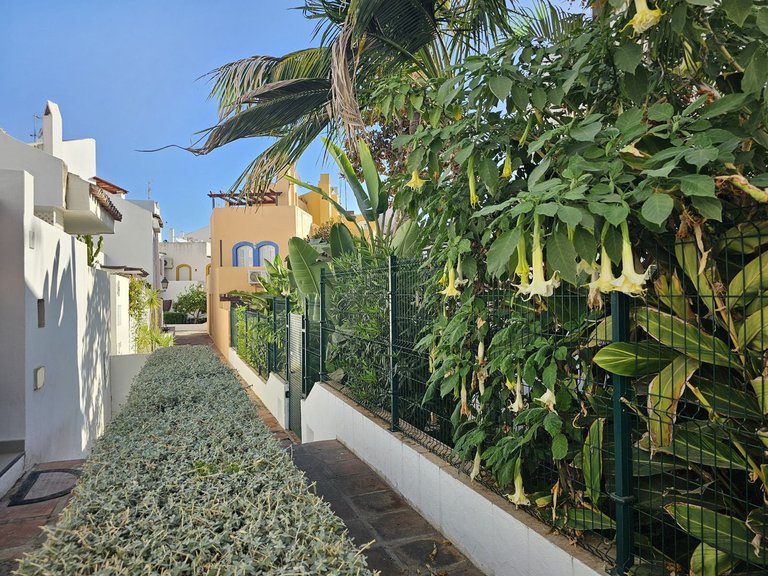 Town House for Sale in Nueva Andalucía, Malaga 22