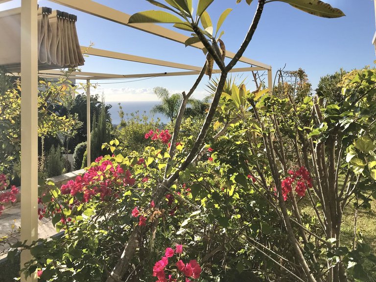 Apartment for  in Costa del Sol, Altos De Los Monteros, Malaga 33