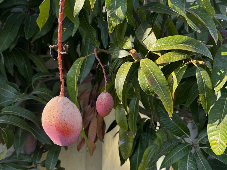 Apartment for  in Costa del Sol, Altos De Los Monteros, Malaga 34