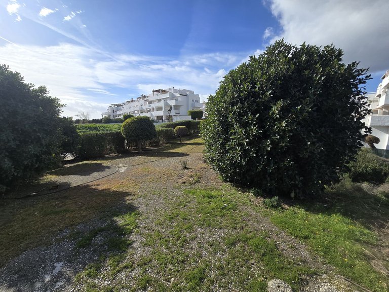 Plot for Sale in Costa del Sol, Estepona, Malaga 2