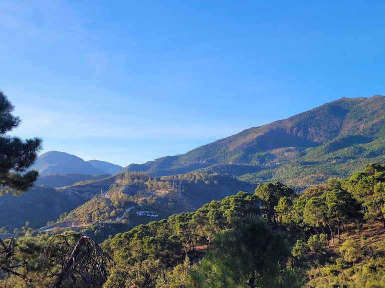 Plot for Sale in La Zagaleta, Malaga 1