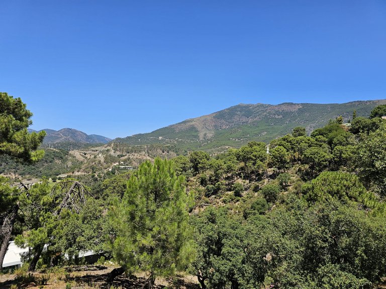Plot for Sale in La Zagaleta, Malaga 2