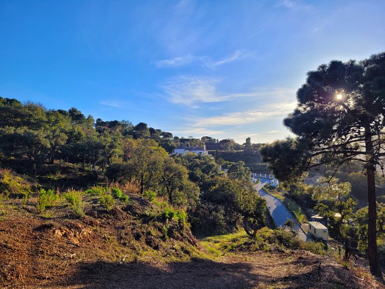 Plot for Sale in La Zagaleta, Malaga 4