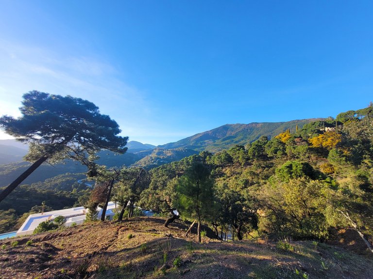 Plot for Sale in La Zagaleta, Malaga 5