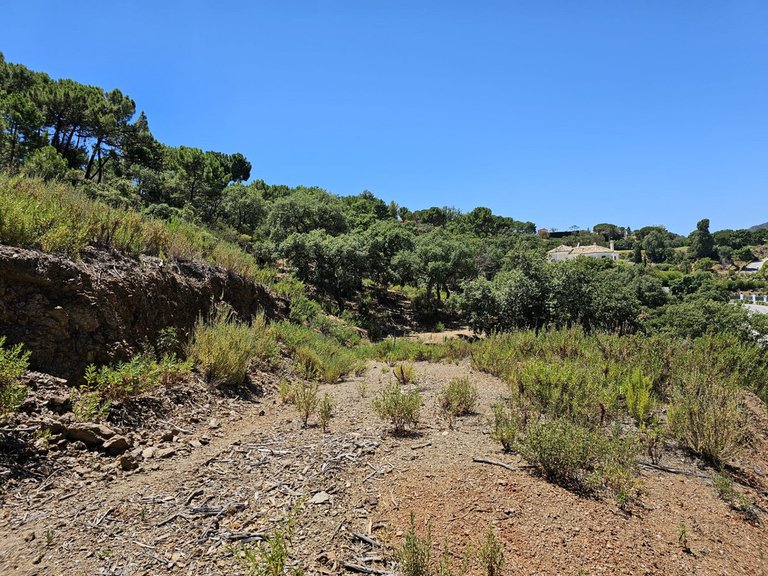 Plot for Sale in La Zagaleta, Malaga 7
