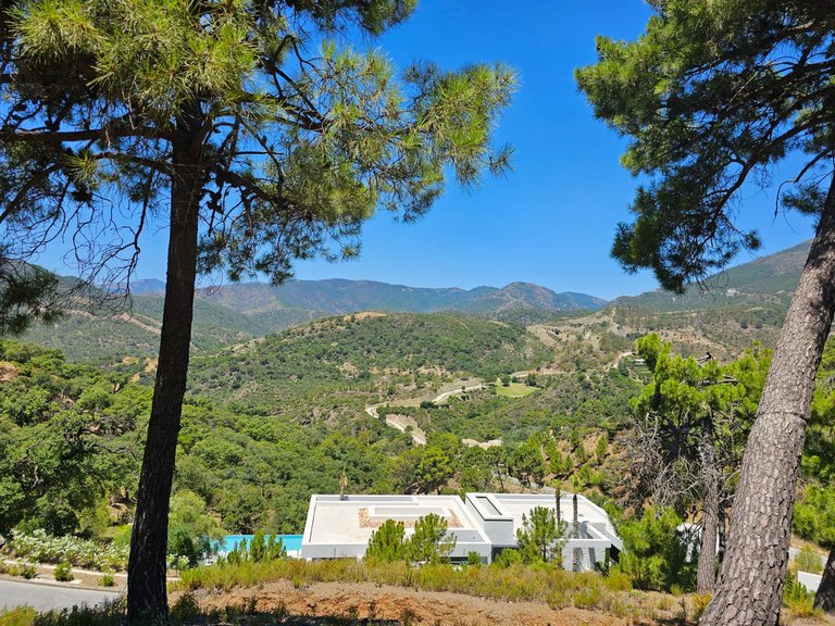 Plot for Sale in La Zagaleta, Malaga 8