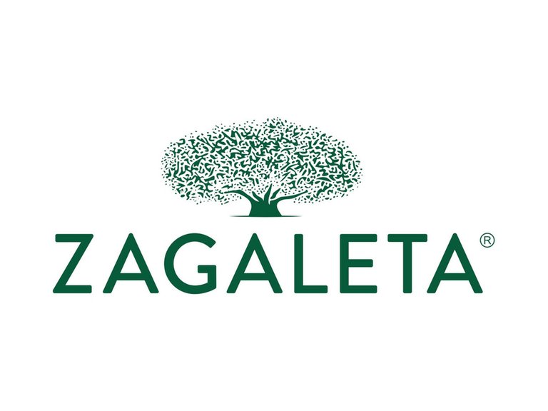 Plot for Sale in La Zagaleta, Malaga 9