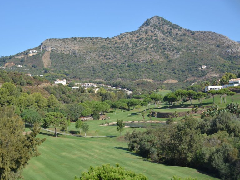 Plot for Sale in Benahavís, Malaga 10