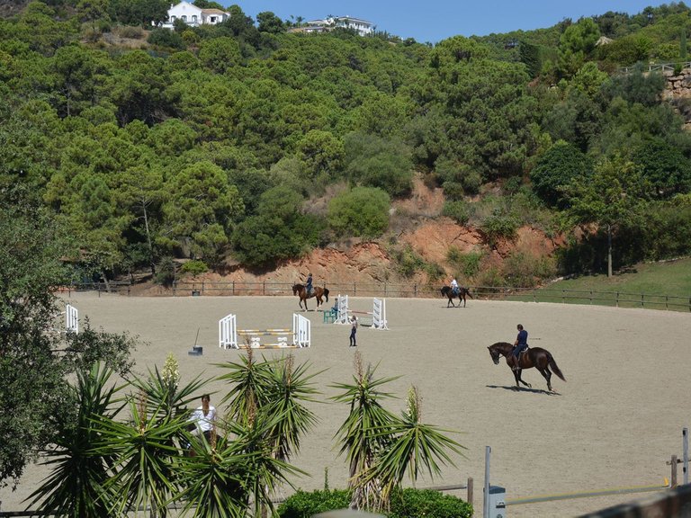 Plot for Sale in Benahavís, Malaga 11
