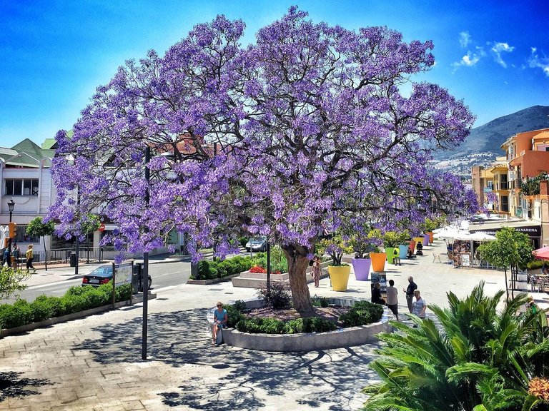 Apartment for Sale in Torrequebrada, Malaga 38