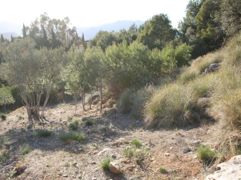 Plot for Sale in Inland Valtocado, Malaga 5